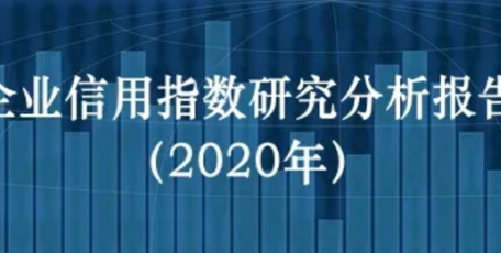 企業(yè)信用指數(shù)研究分析報(bào)告（2020年）